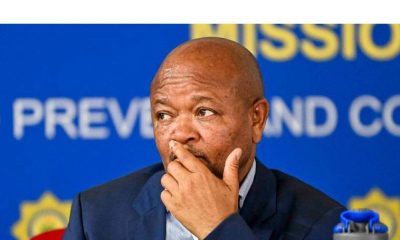Top South Africa Minister accused of criminal ties