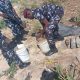 Troops recover unexploded bombs in Borno