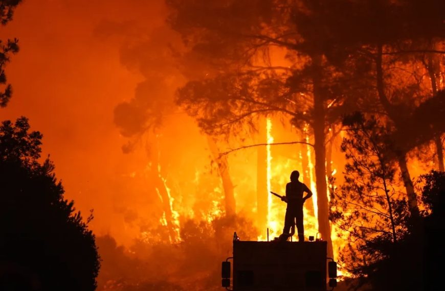 Inferno in Turkiye: Rescuers Burned Alive as Wildfire Turns Deadly