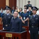 Wang Yong bribery sentence