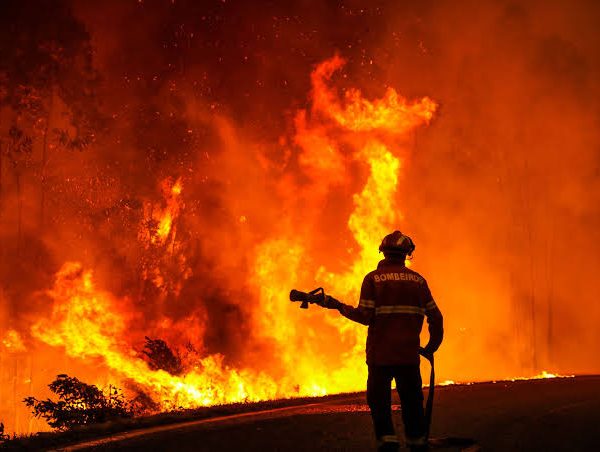 Europe Is Burning — What You Haven’t Heard About the Heatwave Will Stun You
