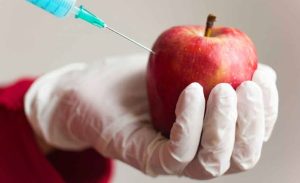 Genetically modified apple.
