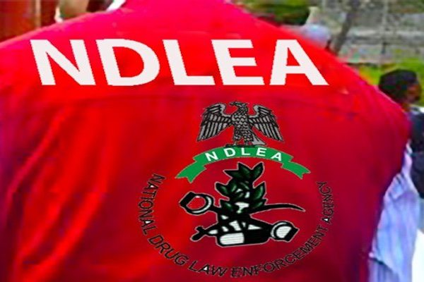 NDLEA operative shot dead during Ondo drug raid