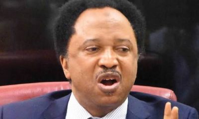 Shehu Sani