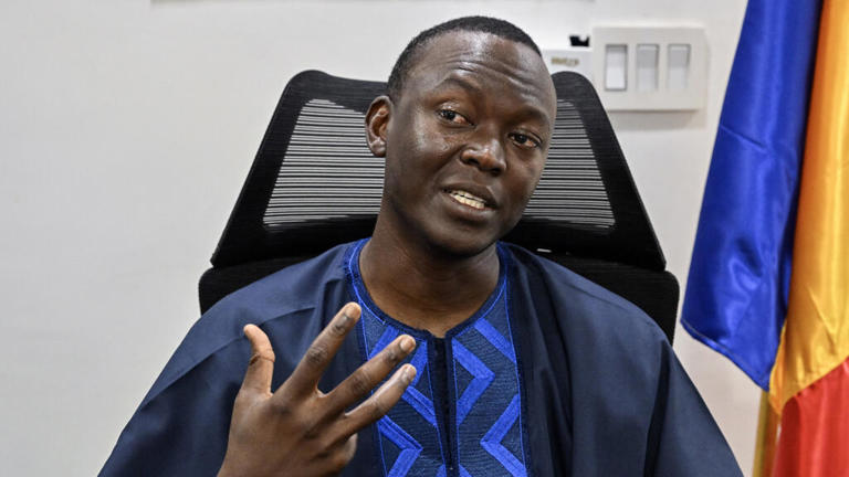 chad opposition leader sentence to 20 years.