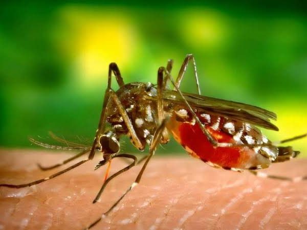China Reports New Disease Outbreak, Sparks Global Health Alert