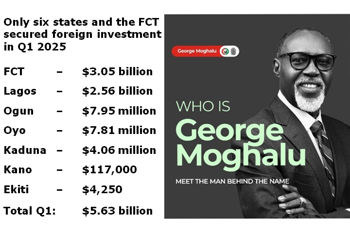 Moghalu berates Soludo as Anambra failed to attracts Foreign Direct Investment (FDI)