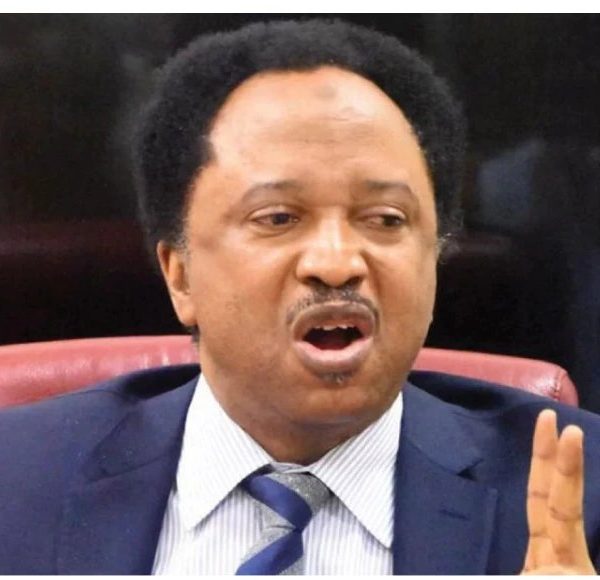 Governors smiling to bank as Nigerians groan — Shehu Sani