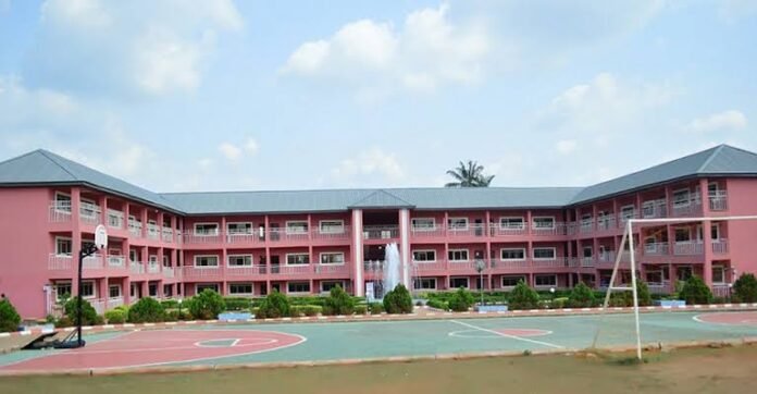 British Spring College