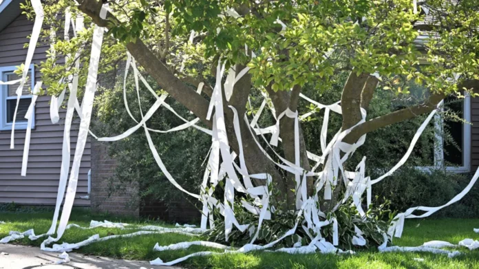 Image of the paper prank.