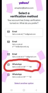 Detailed evidence of INEC chair ties with APC.