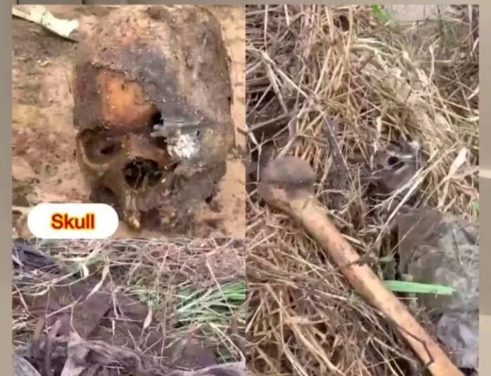 Human remains discovered in Anambra during sanitation