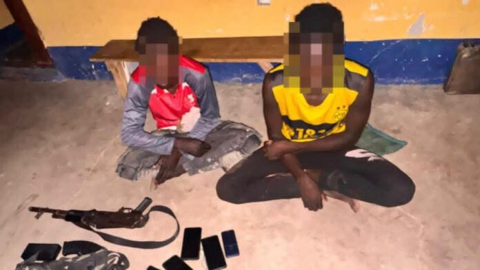 Two ISWAP terrorists surrender to troops in Borno