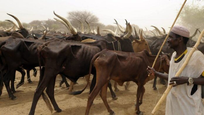 Herders