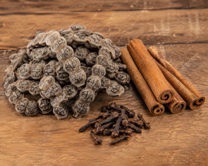 Herb
