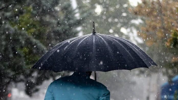 Rain